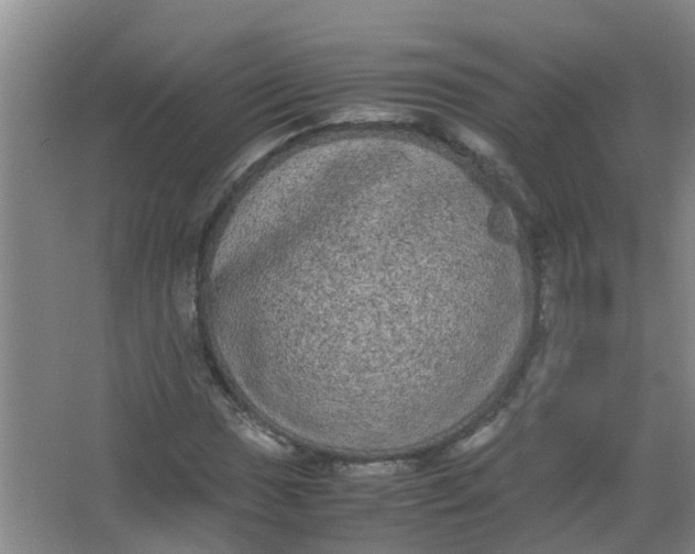 X0000062931017200601271826