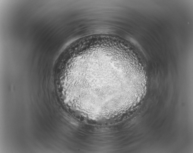 X0000062931019200601271826