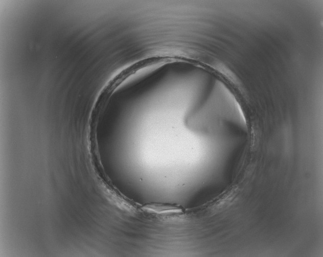 X0000062931020200601271826