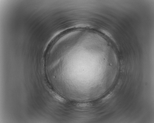 X0000062931021200601271826