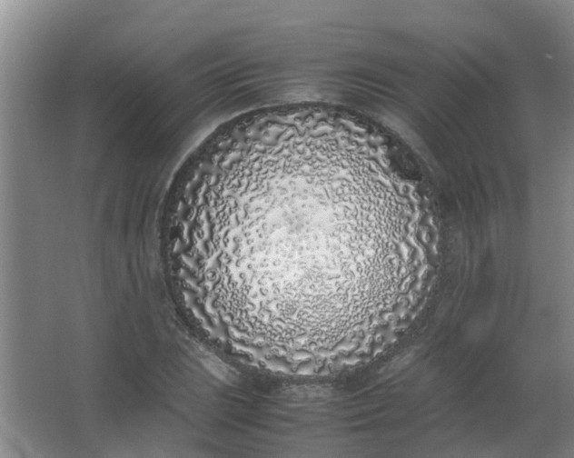 X0000062931023200601271826