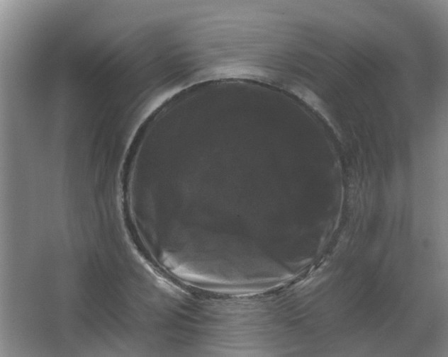 X0000062931024200601271826