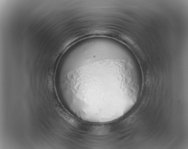 X0000062931025200601271826