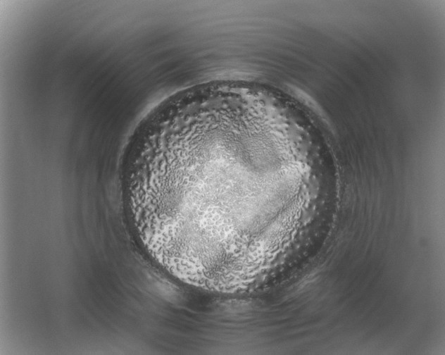 X0000062931027200601271826