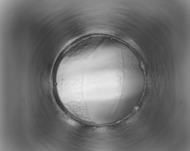 X0000062931028200601271826