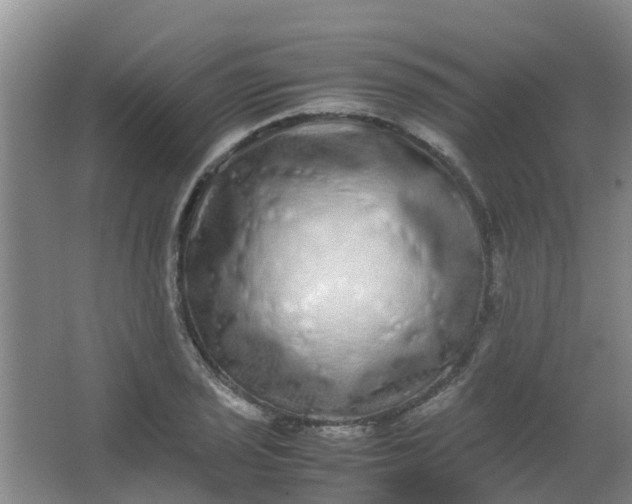 X0000062931029200601271826