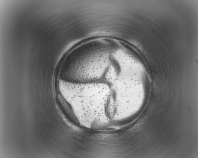 X0000062931030200601271826