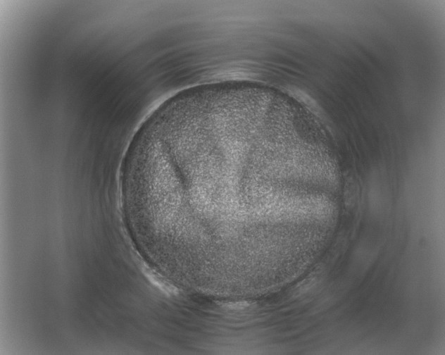 X0000062931031200601271826