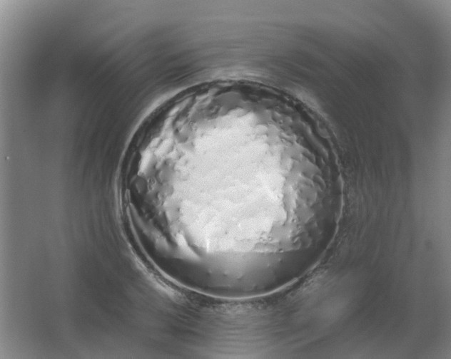 X0000062931032200601271826