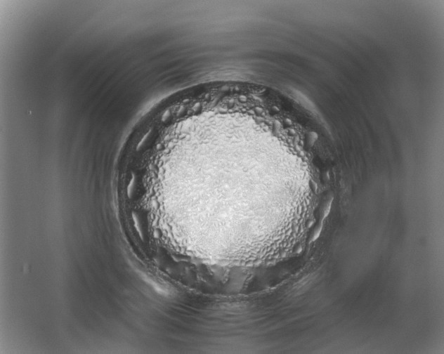 X0000062931035200601271827