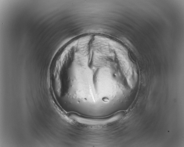 X0000062931036200601271827