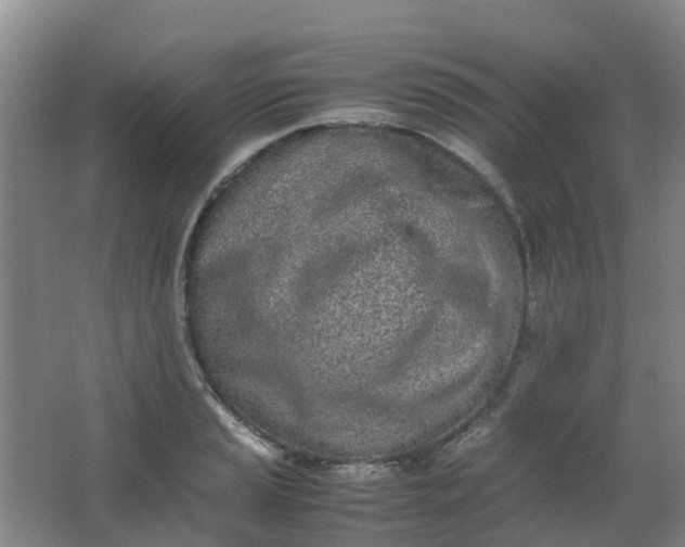 X0000062931037200601271827