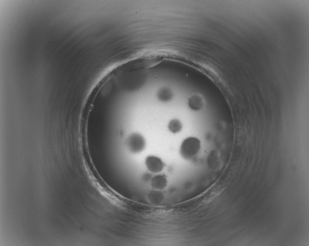 X0000062931038200601271827