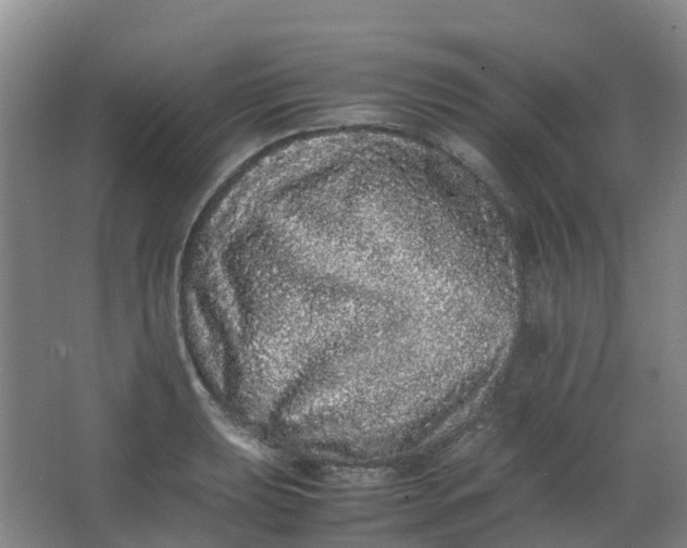 X0000062931039200601271827