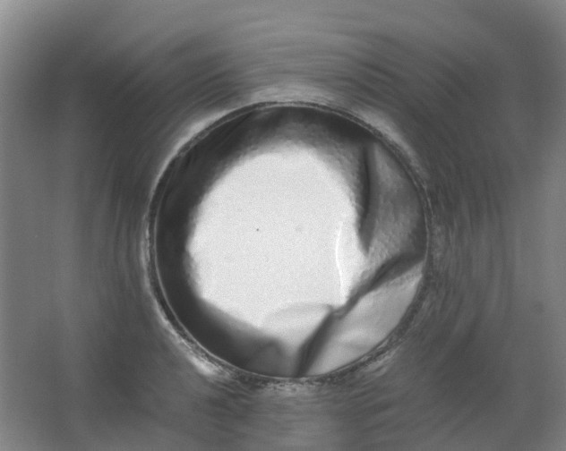 X0000062931040200601271827