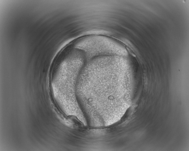 X0000062931044200601271827