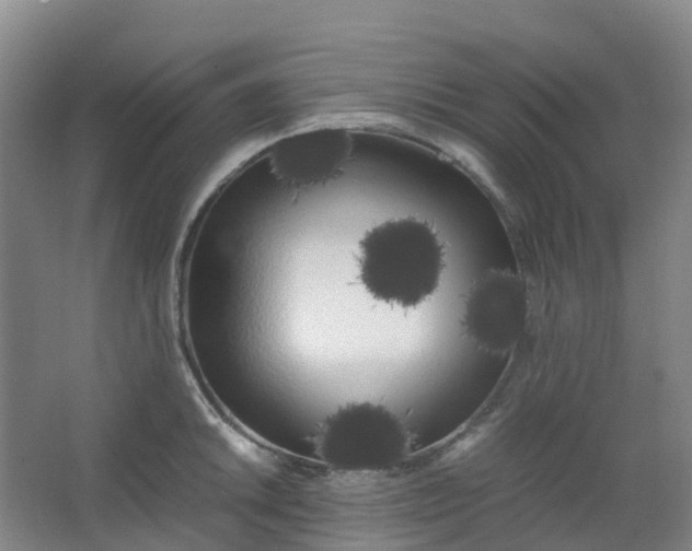 X0000062931046200601271827