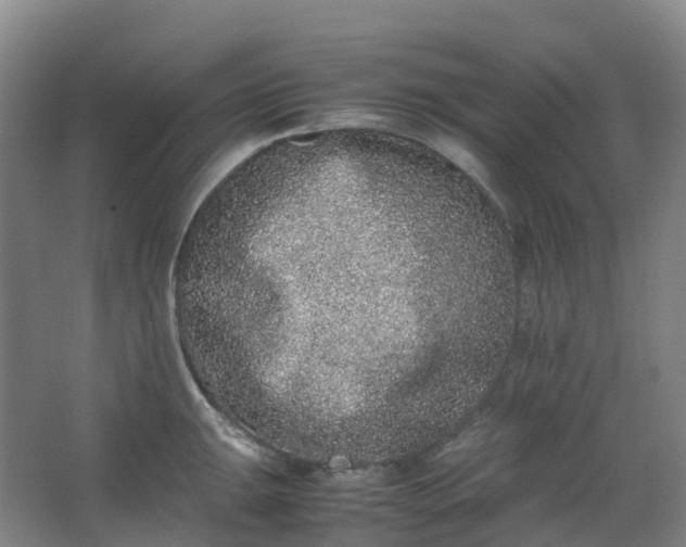 X0000062931047200601271827