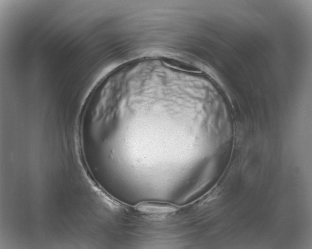 X0000062931048200601271827