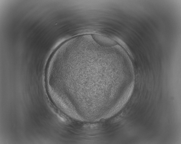 X0000062931051200601271827