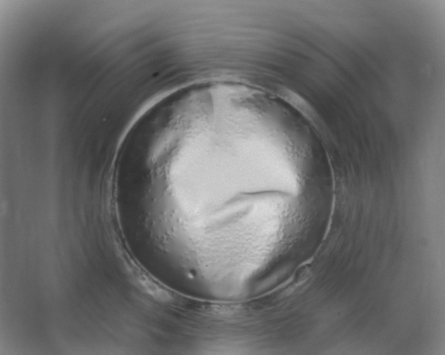 X0000062931052200601271827