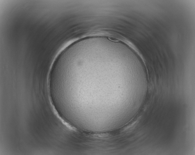 X0000062931053200601271827