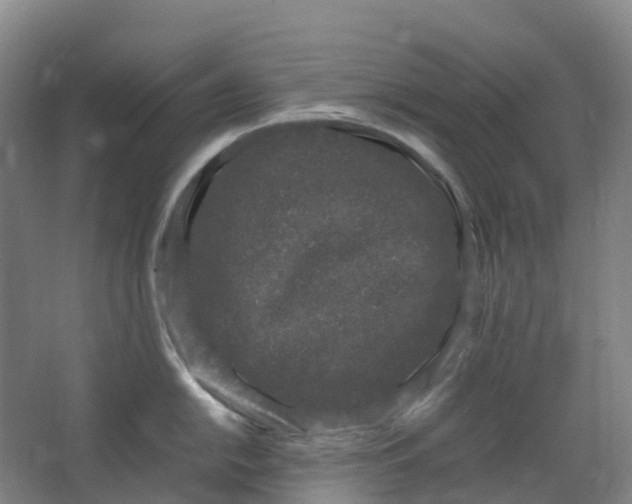 X0000062931054200601271827