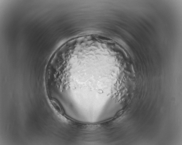 X0000062931055200601271827