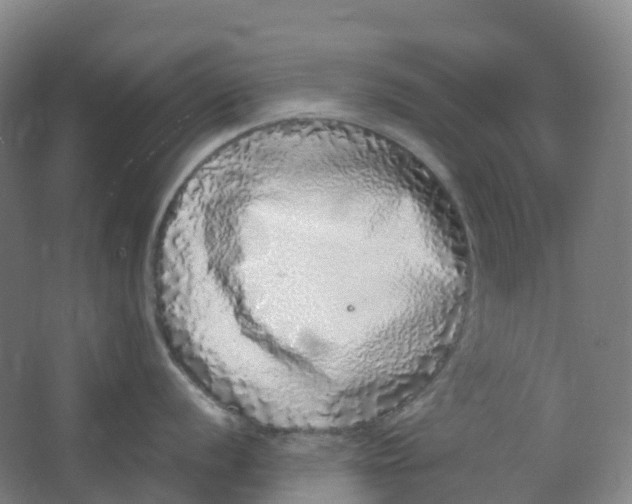 X0000062931056200601271827