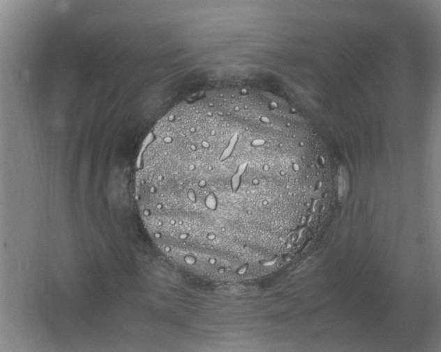 X0000062931059200601271826