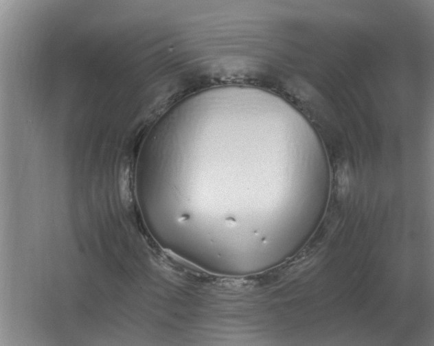 X0000062931060200601271826