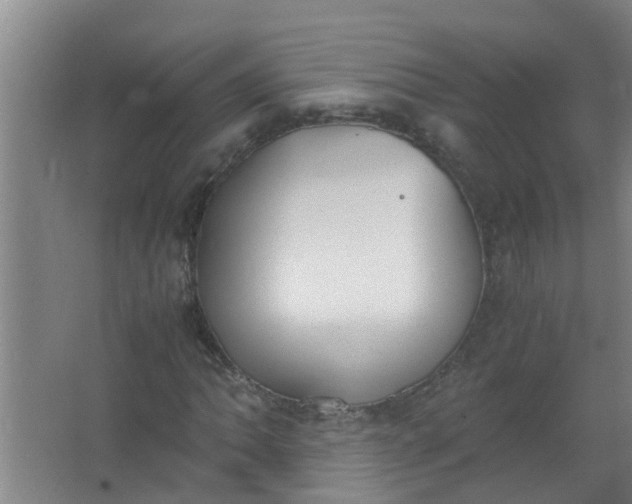 X0000062931062200601271826