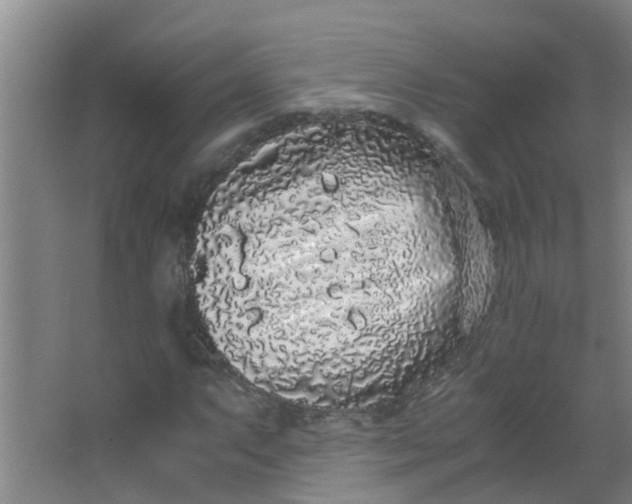 X0000062931063200601271826