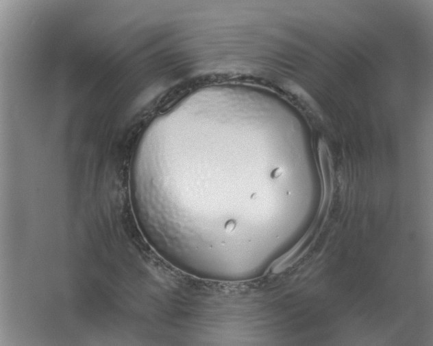 X0000062931064200601271826