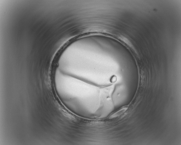 X0000062931068200601271826