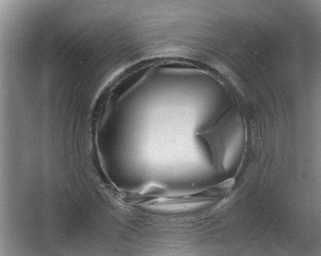 X0000062931069200601271826