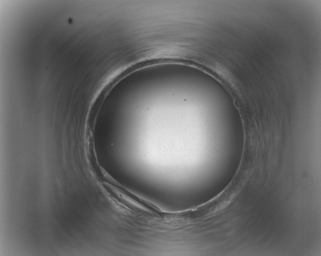 X0000062931077200601271826