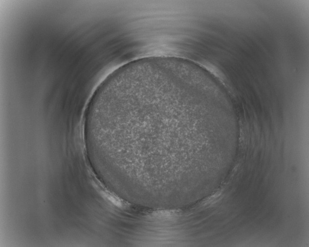 X0000062931078200601271826