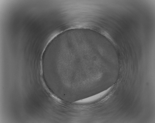 X0000062931079200601271826