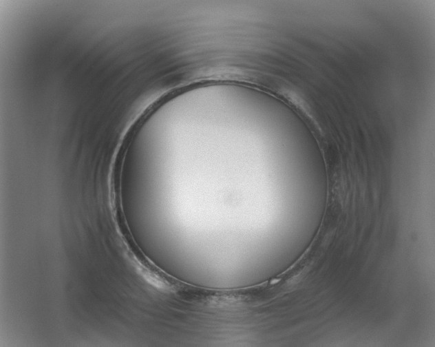 X0000062931082200601271826