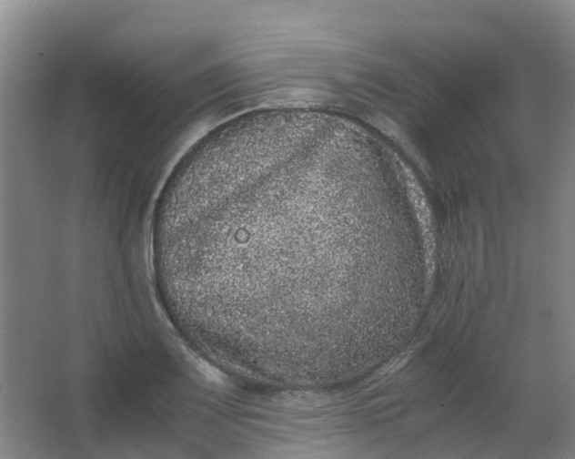 X0000062931083200601271826