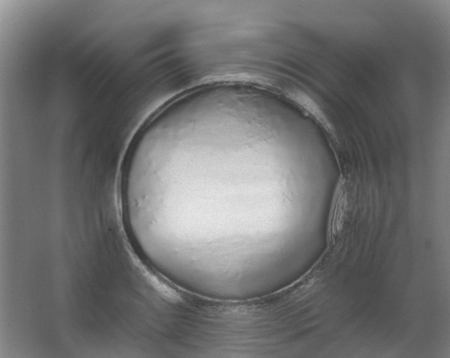 X0000062931084200601271826