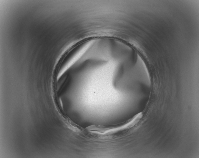 X0000062931085200601271826