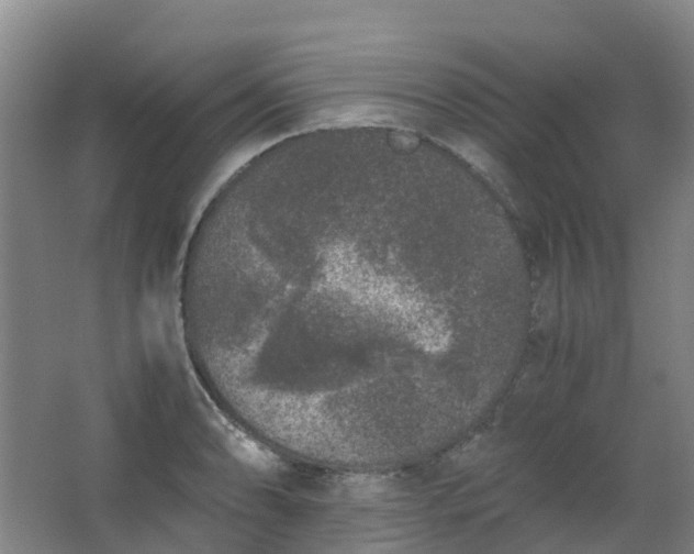 X0000062931086200601271826