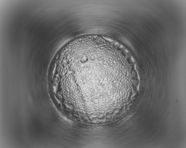 X0000062931087200601271826