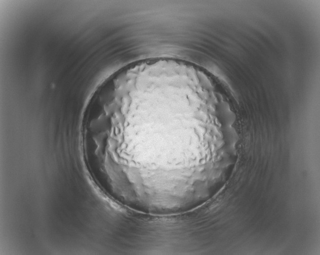 X0000062931088200601271826