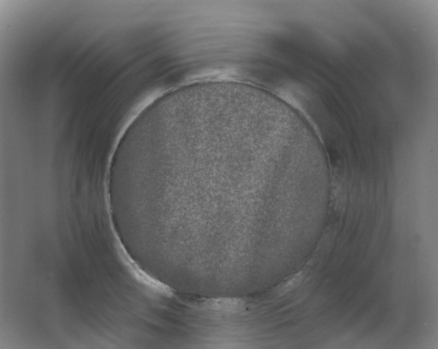 X0000062931090200601271825