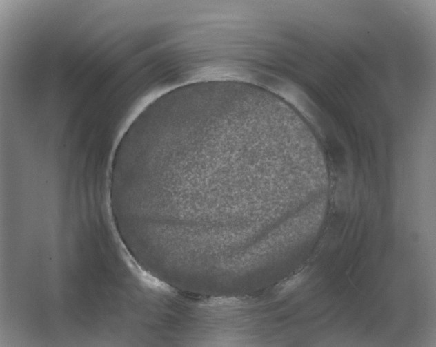 X0000062931094200601271825