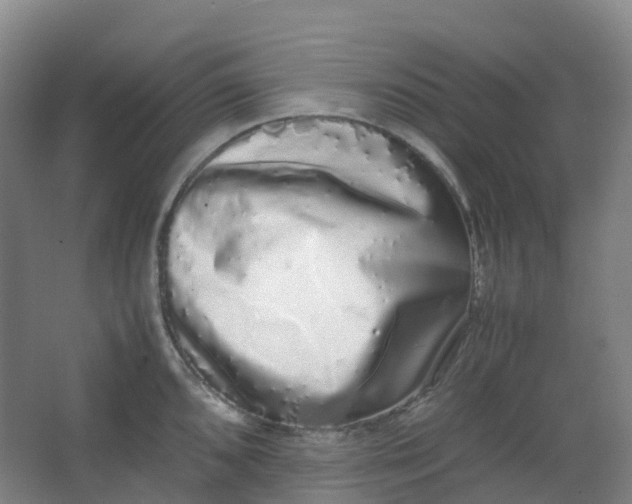 X0000062931096200601271825