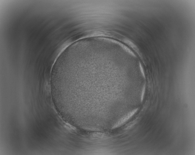 X0000062931097200601271825